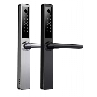 REX ( BLACK/SILVER )